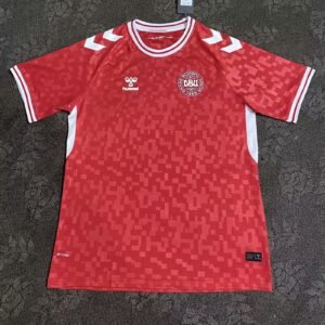 Denmark National team home and away football jerseys single top free shipping