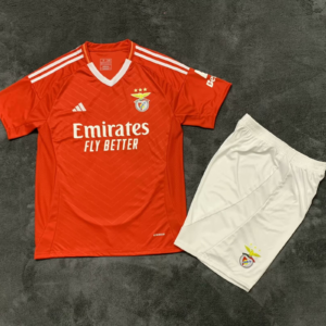 Benfica Club football jerseys Cheap Replica free shipping