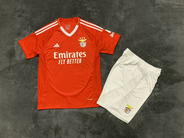 Benfica Club football jerseys Cheap Replica free shipping